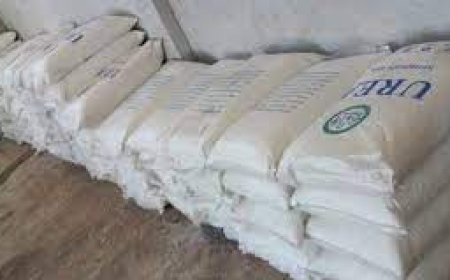 عنابة: اختفاء 2طن من حمولة الاسمدة المركبة الموجهة  لولاية عين الدفلة 