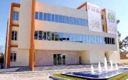 "الفاف" تجمد البطولات الشبانية والنسوية إلى غاية ما بعد عيد الفطر