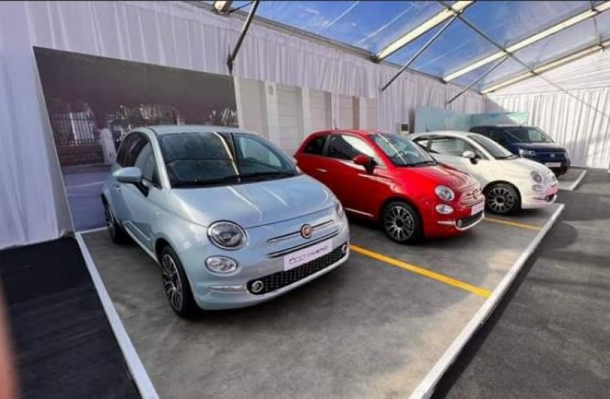 بنك البركة الجزائري يشرع في تمويل اقتناء سيارات "فيات" المنتجة محلياً