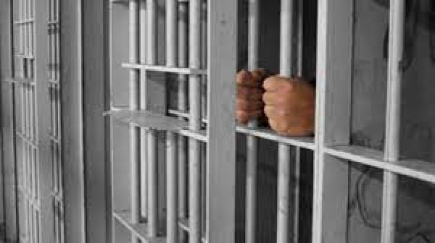 باتنة: إيداع الحبس أمين الضبط الموقوف في قضية اختفاء مبلغ قارب 20 مليون سنتيم من المحجوزات