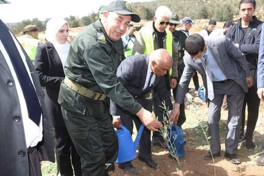 باتنة:  تحضيرات جارية لإنجاح حملة غرس خمسة ملايين شجرة