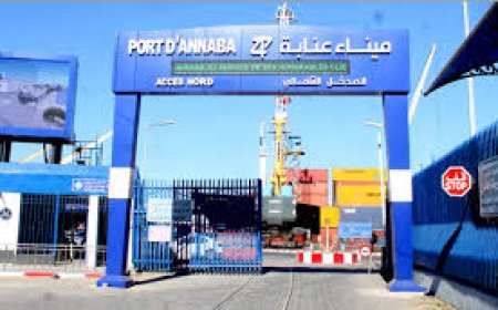 نقاط لتأمين السيارات وصرف العملة بميناء عنابة 