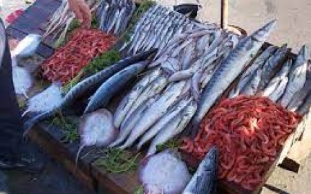 أسعار السمك تواصل تحطيم الأرقام بجيجل 