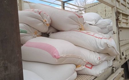 اكتشاف 1800 قنطار من القمح يشتبه عدم صلاحيتها لسوء التخزين بباتنة