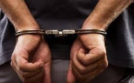 الإطاحة بلصّ وبحوزته جهاز تشويش لفتح أقفال المركبات عن بعد بعنابة