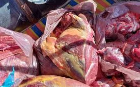 حجز قرابة 3 قناطير من اللحوم الحمراء غير صالحة للاستهلاك داخل كوخ بالبوني 
