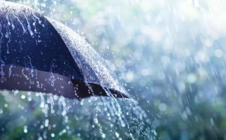 أمطار رعدية مرتقبة يومي الجمعة والسبت على عدة ولايات بشرق وجنوب البلاد