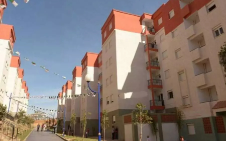 بلعريبي: "عدل 3 سينطلق قريباً وسيساهم في رفع عدد السكنات"