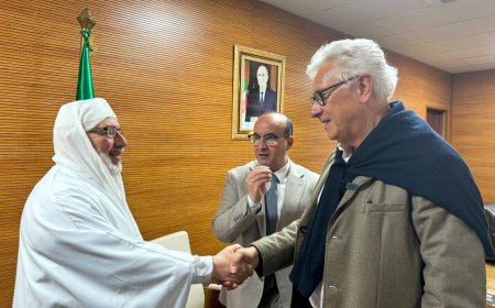 المصمم الألماني في جامع الجزائر