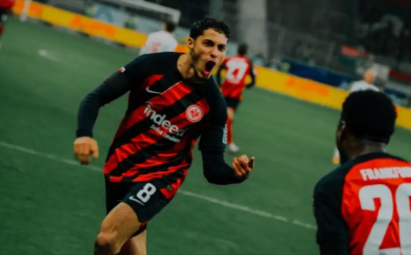 شايبي حاضر في التشكيلة المثالية للجولة 30 من "البوندسليغا"