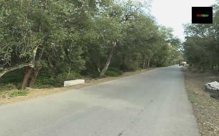 مركز تدريب الفرق "بالزيتونة" يعود للواجهة