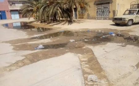 الأعشاب الضارة والناموس يغزون حي 540 مسكنا بوخضرة