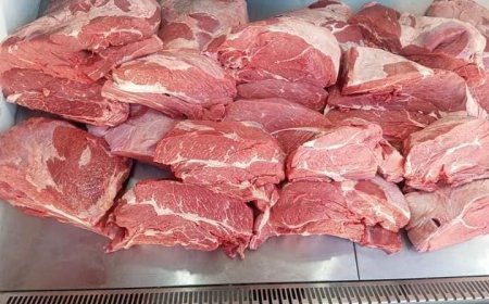 حجز ازيد من قنطار من اللحوم غير صالحة للاستهلاك البشري ببجاية