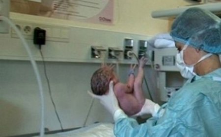 إقبال قياسي على مصلحة التوليد بمستشفى البوني