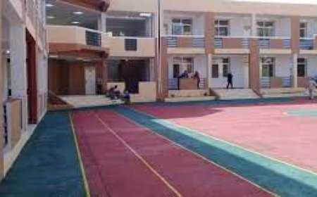 انطلاق حملة الوقاية من الفيروس الكبدي بمدارس سيدي عمار