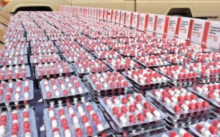  إحباط عملية محاولة إغراق عنابة ب 30ألف قرص مهلوس