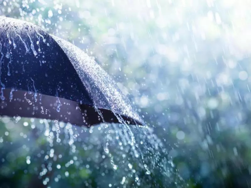 أمطار رعدية ورياح قوية على عديد ولايات الوطن