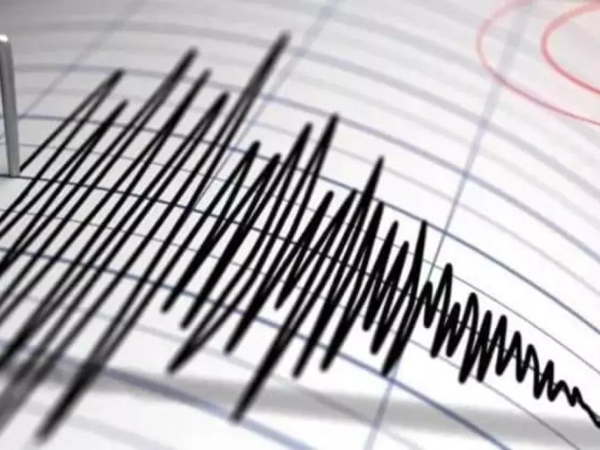 هزة أرضية بشدة 4,2 درجات بولاية المسيلة