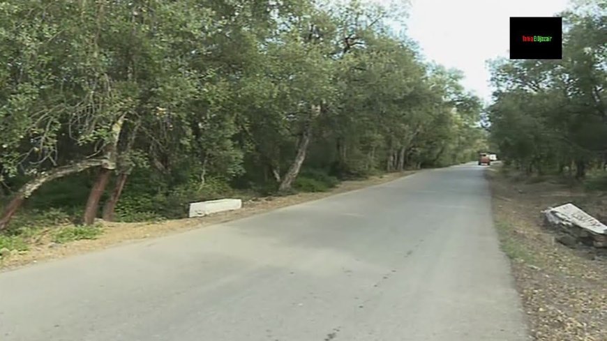 مركز تدريب الفرق "بالزيتونة" يعود للواجهة