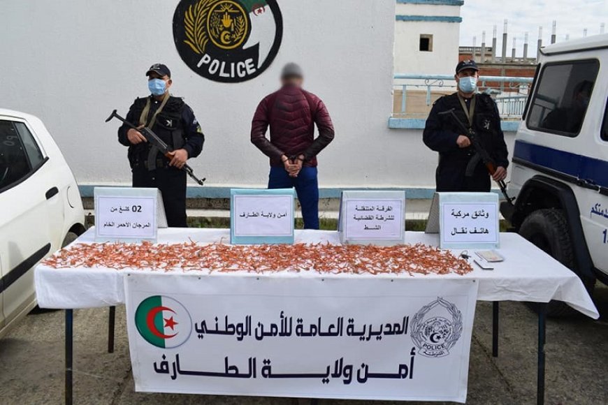 الشرطة تحجز 2.5 كلغ مكن المرجان الخام بالطارف 