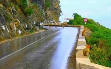 مديرية الأشغال العمومية لجيجل تنفي خبر غلق طريق الكورنيش   