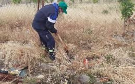 حملة تنظيف ونزع الحشائش ببوخضرة 03