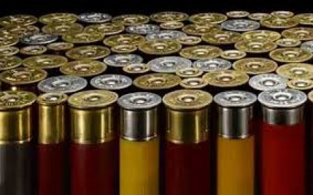 حجز أزيد من 12 ألف كبسولة معدة لصناعة الخراطيش بتبسة