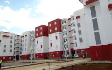مئات السكنات شاغرة بالأقطاب السكنية بالمدينة الجديدة ذراع الريش