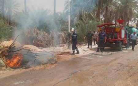 محاكاة مناورة خاصة بحرائق الغابات بقالمة