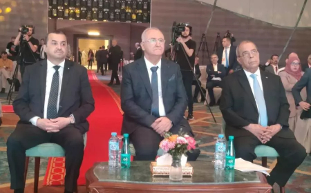 عون: الجزائر تسعى لأن تكون أحد أهم الموردين المحتملين لأوروبا في مجال الحديد والصلب