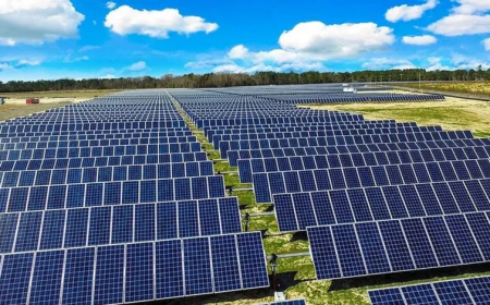 البنك الوطني الجزائري يضمن تمويل بـ 413 مليار دج لبرنامج إنتاج 3 جيغاواط من الطاقة الشمسية