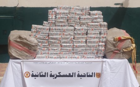 توقيف 110 تاجر مخدرات وحجز كوكايين وكمية ضخمة من الكيف