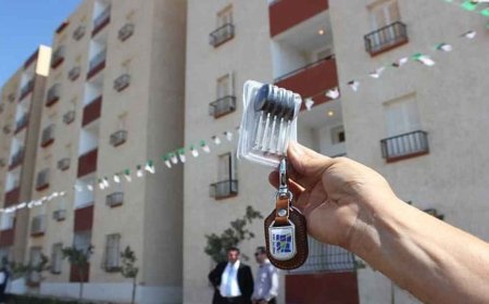 عملية كبرى مرتقبة لتوزيع السكن في عيد الإستقلال