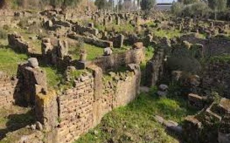 موقع هيبون الأثري بولاية عنابة