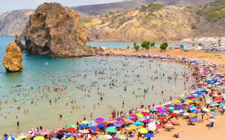 رئيس الجمهورية يأمر بالتطبيق الصارم للقانون ضد كل أشكال السمسرة الموسمية بالشواطئ