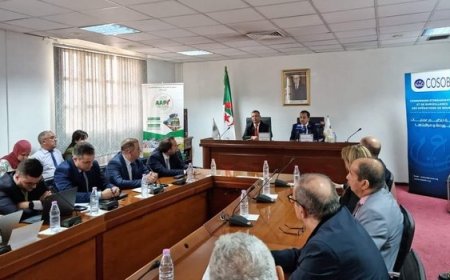 تمويل أزيد من 140 مشروعا بالجزائر