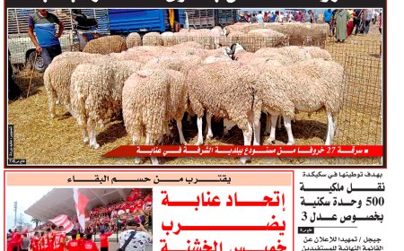 السبت 25  ماي 2024