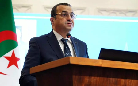 تجنيد اكثر من 25 ألف ميغاواط من الكهرباء لتغطية الطلب خلال الصائفة المقبلة