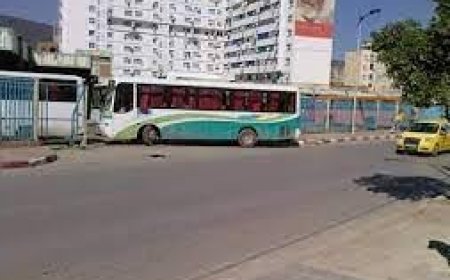 عنابة: الاعلان عن فتح خطوط نقل جديدة ودعم الخطوط القديمة 