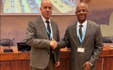  الدواء الجزائري في" جيبوتي