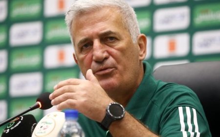 بيتكوفيتش يكشف اليوم عن قائمة معسكر أكتوبر خلال ندوة صحفية بملعب "براقي"