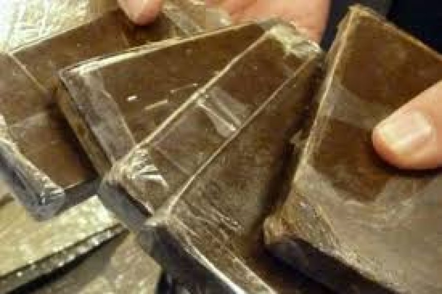 برج بوعريريج:  توقيف مسبوق قضائي وحجز 374 غرام من الكيف المعالج