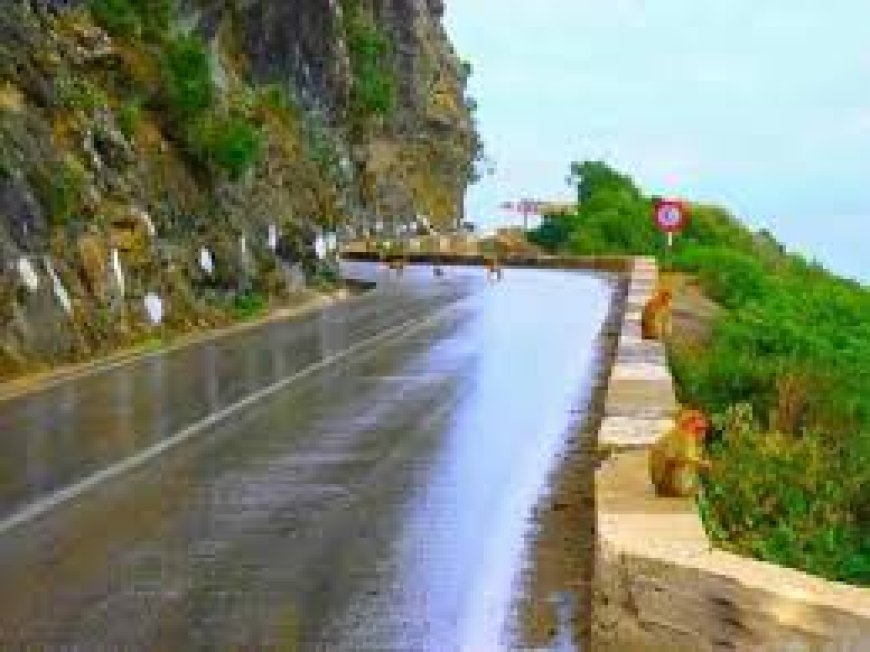 مديرية الأشغال العمومية لجيجل تنفي خبر غلق طريق الكورنيش   