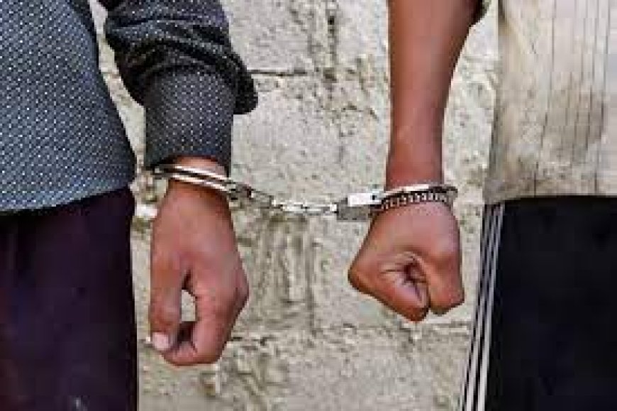  توقيف شخصين بتهمة السرقة بالنشل في حالة تلبس بالمسيلة