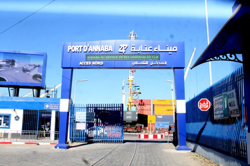 الجمارك تحجز 34 حاوية محملة بالموز بميناء عنابة