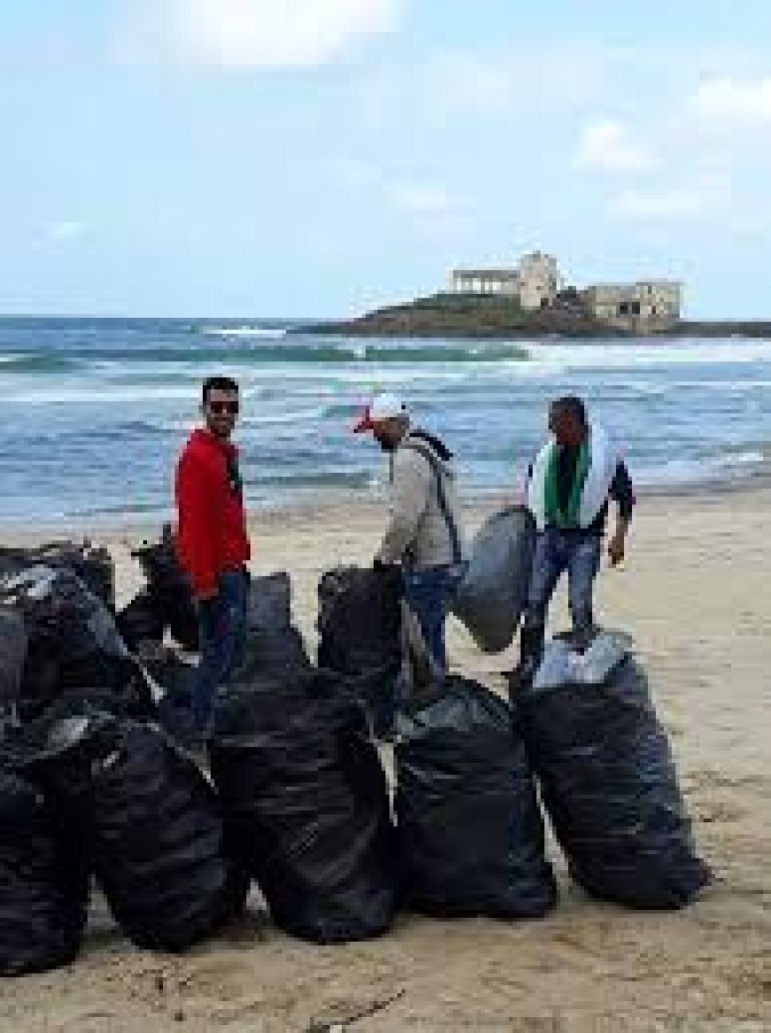 تنظيف شاطئ" المرجان "