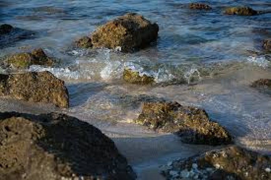 العثور على  جثة رجل  بشاطئ  سيبوس    