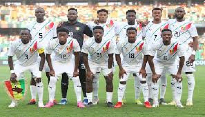 بيتكوفيتش يحذر من خطورة المنتخب الغيني ويعتبره المنافس الرئيسي للخضر على بطاقة المونديال