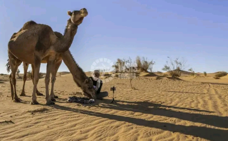 صورتان جزائريتان ضمن الـ 10  TOP عالميا