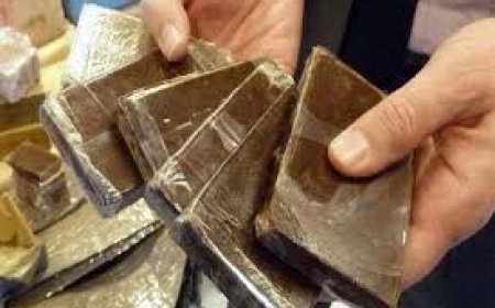 حجز أزيد من 01 كلغ من الكيف المعالج المعد للترويج بباتنة